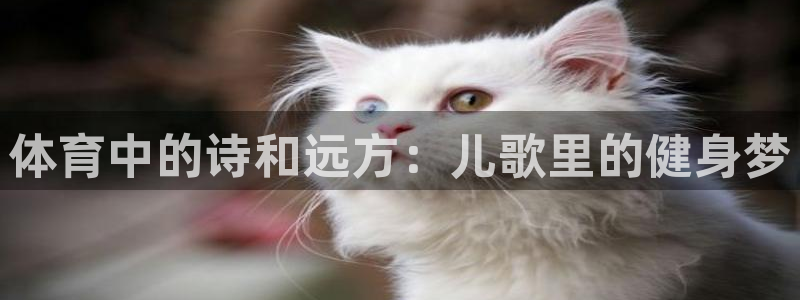 谈球吧体育