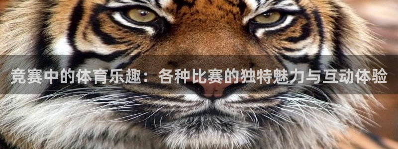 谈球吧
