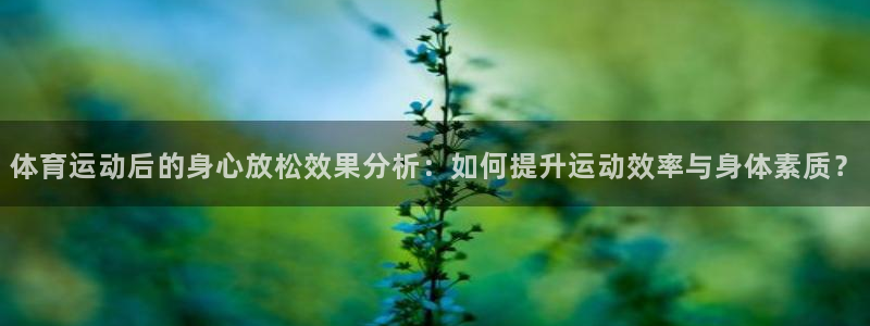 谈球吧体育官网