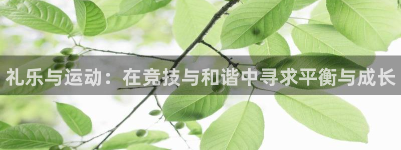 谈球吧