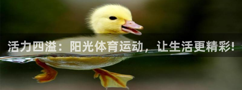 谈球吧体育