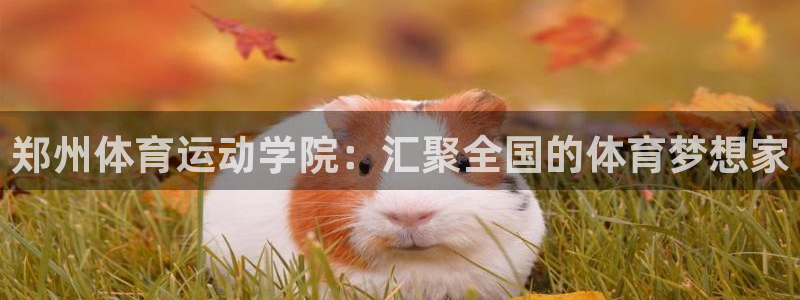 谈球吧体育官网